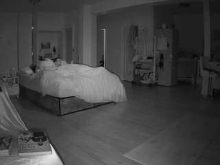 voyeurcam-celticiron-02