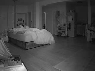 voyeurcam-celticiron-02