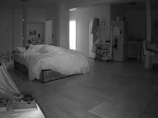 voyeurcam-celticiron-02