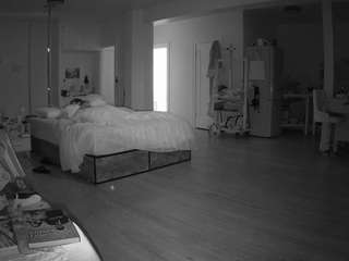 voyeurcam-celticiron-02