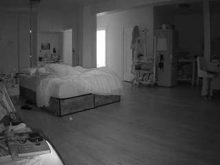 voyeurcam-celticiron-02