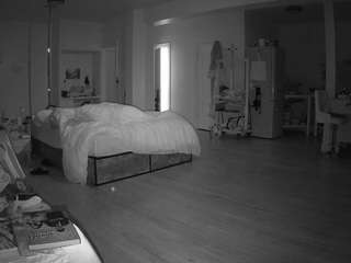 voyeurcam-celticiron-02