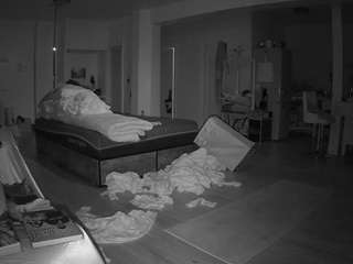 voyeurcam-celticiron-02