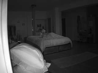 voyeurcam-celticiron-02
