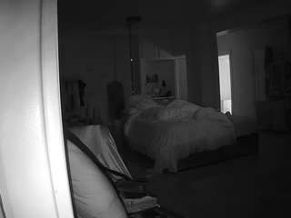 voyeurcam-celticiron-02
