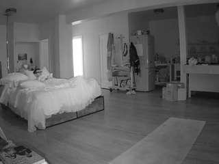 voyeurcam-celticiron-02
