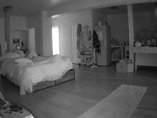 voyeurcam-celticiron-02