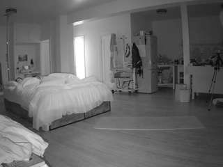 voyeurcam-celticiron-02
