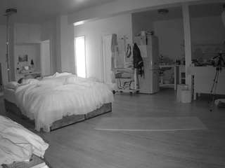 voyeurcam-celticiron-02