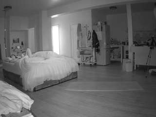 voyeurcam-celticiron-02