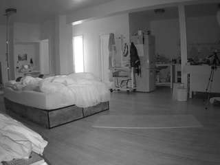 voyeurcam-celticiron-02
