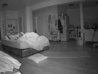 voyeurcam-celticiron-02