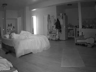 voyeurcam-celticiron-02