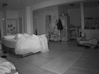 voyeurcam-celticiron-02