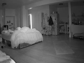 voyeurcam-celticiron-02