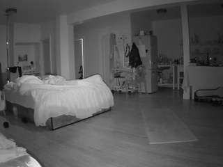 voyeurcam-celticiron-02