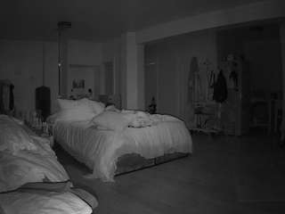 voyeurcam-celticiron-02