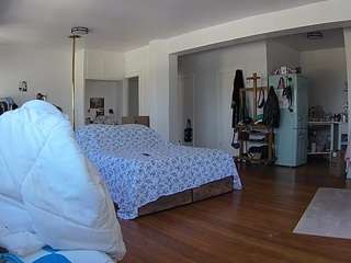 voyeurcam-celticiron-02