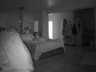 voyeurcam-celticiron-02