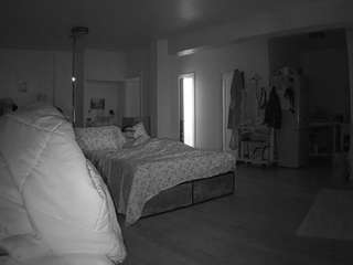 voyeurcam-celticiron-02
