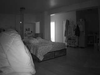 voyeurcam-celticiron-02