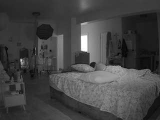 voyeurcam-celticiron-02