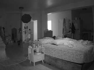 voyeurcam-celticiron-02