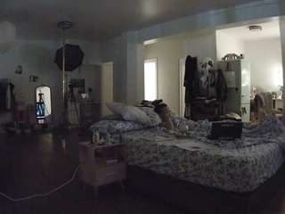 voyeurcam-celticiron-02