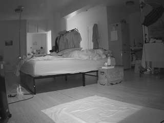 voyeurcam-celticiron-02