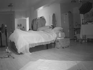 voyeurcam-celticiron-02