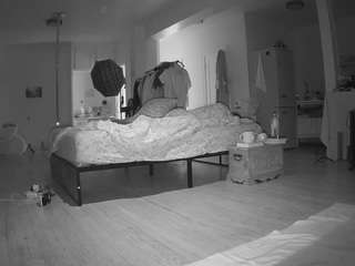 voyeurcam-celticiron-02