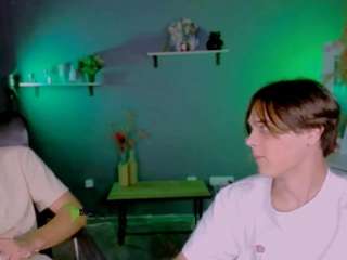 karl-mans webcam model