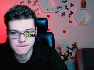 karl-mans webcam model