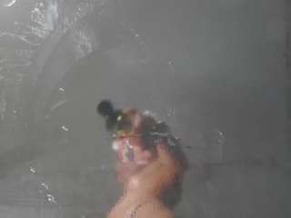 moireharbold