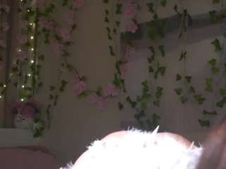 MoireHarbold live cam preview