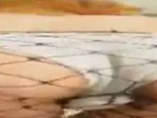 PetraEddie's Live Sex Cam Show