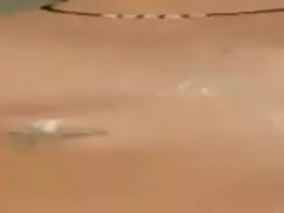 PetraEddie's Live Sex Cam Show