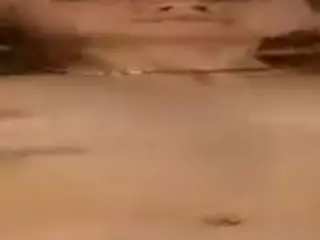 PetraEddie's Live Sex Cam Show