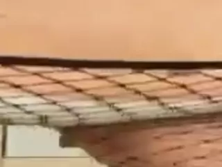 PetraEddie's Live Sex Cam Show