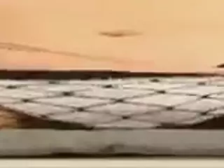 PetraEddie's Live Sex Cam Show