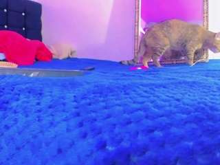 samantha-official live webcam show