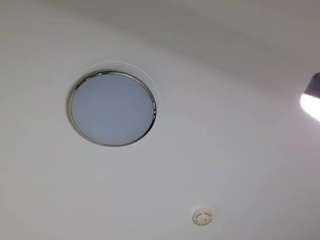 zeldachesser webcam model