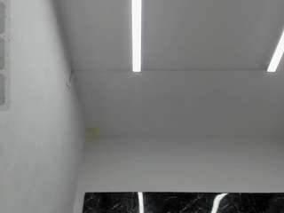  ada-brooke chat room