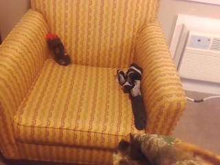 squirtonmyass - Cam en Direct