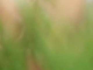 GETaLoadOfCum