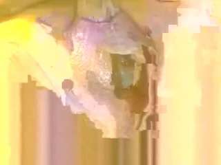 squirtonmyass's CamSoda show and profile