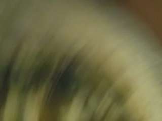 squirtonmyass