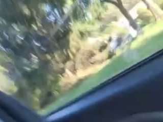 squirtonmyass