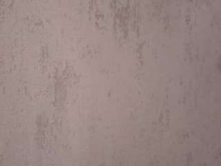 eadlinbeecham webcam