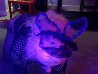 SissyTrixiee